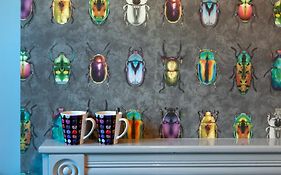 The View On The Terrace